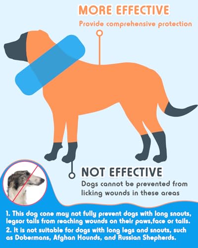 Image of Inflatable Dog Pillow Cone Collar After Surgery, Donut Soft Neck Cone for Pug Dachshund Medium Dogs, etc, Recovery E Collar to Stop Licking Paw