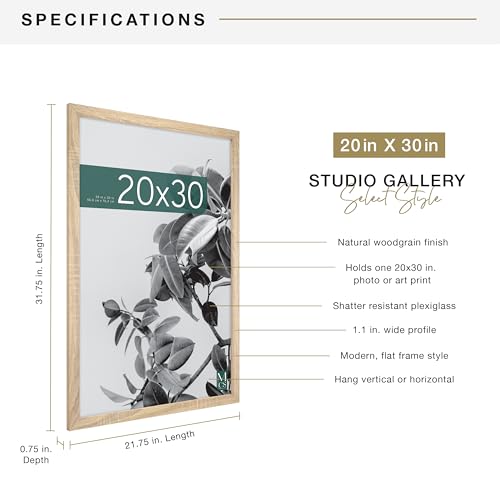 MCS Studio Gallery 20x30 Poster Frame Natural Woodgrain, Vertical & Horizontal Wall Hanging Large Picture Frame for Photos, Posters & Art Prints (1-Pack)