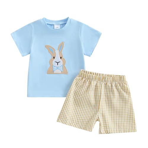 Image of Toddler Baby Boy Easter Rabbit Outfit Short Sleeve Bunny Carrot Smocked T-shirt Elastic Waist Shorts Summer Clothes