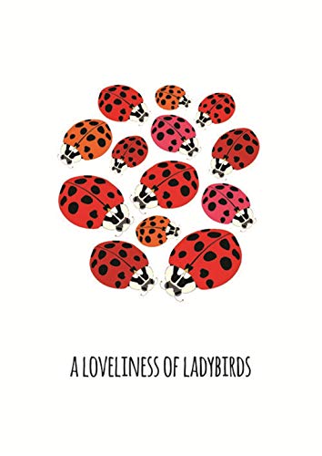 101 Collective Nouns - Image 2