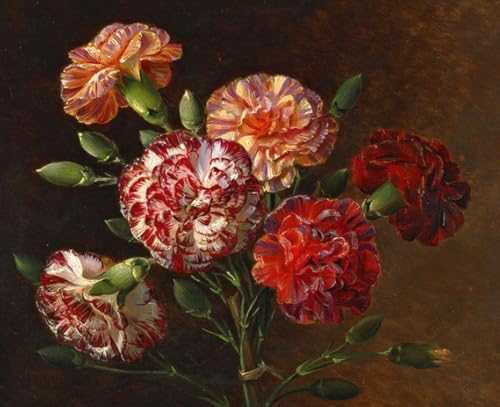 Kits de pintura por números Johan Laurentz Jensen cuadros al óleo para principiantes con lienzo