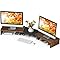Amazon.com: TAVR Dual Monitor Stand Riser Office Desktop Organizer ...