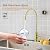 Wellup Reverse Osmosis Faucet - Brushed Gold, Leadless Stainless Steel Kitchen Water Filter for Non Air Gap RO System