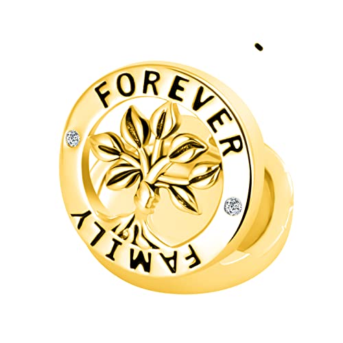 Reflexions Family Tree Clip Charm CZ Lock Stopper Bead for Pandroa Reflexions Bracelet2