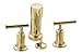 KOHLER Purist Bidet Faucet with Vertical Spray and Cross Handles- Variation