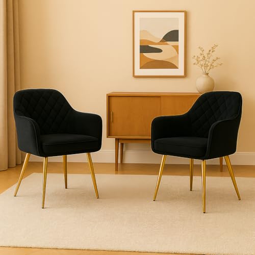 Image of Barfi Velvet Dining Chair | Set of 2 Premium Modern Upholstered Accent Chair with Armrest, Padded Seat and Metal Legs | Comfy Chair for Home, Office & Restaurents | (Black)