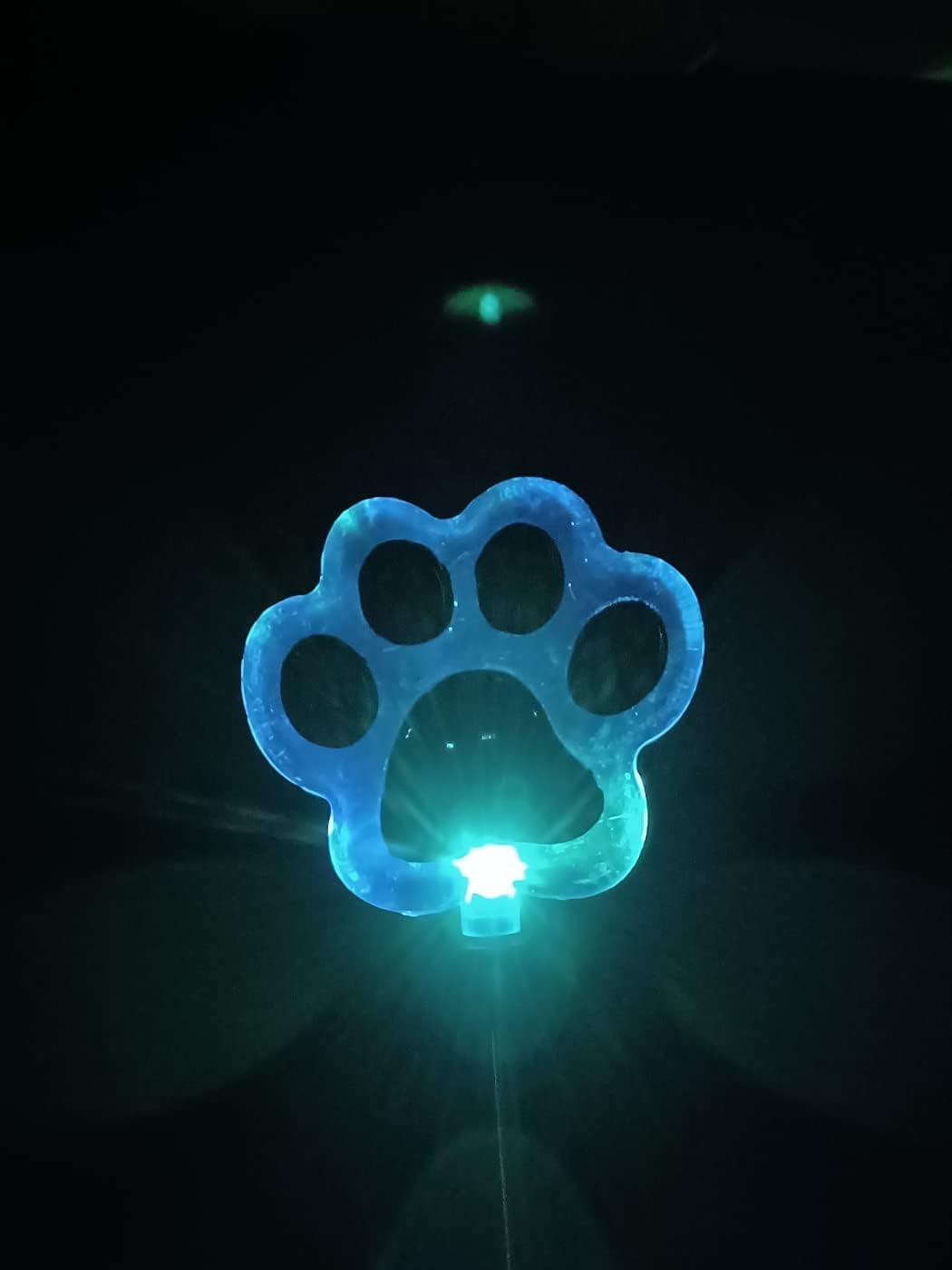 Starry Illuminate 2 PCS Solar Color Changing Style Garden Stake Light Pathway Stake Light (Dog Paw)