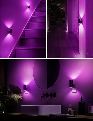 image for L LOHAS LED [2 Pack] Halloween Purple Night Light, Light Plug in with 