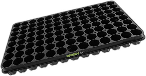 GREEN24 Anzuchtplatte XL Pro QP104