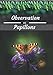 Produktbild Observation de Papillons: Carnet pour y noter toutes vos observations animalières | 100 pages à remplir | Pour tous les naturalistes amoureux de la ... | Idéal pour les insectes de nos jardins