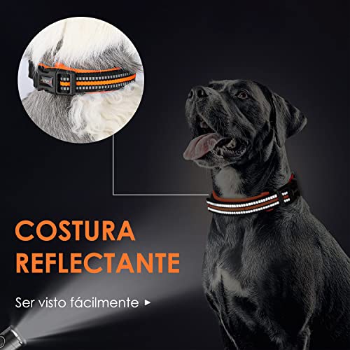 Collares Y Correas, Pet Products Imagen adicional