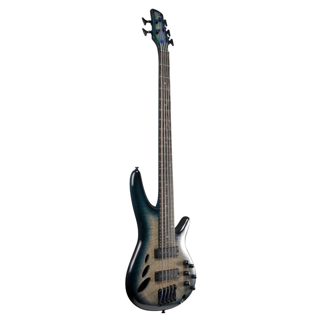 Amazon.com: Ibanez SRD905 Bass Workshop 5-String Right