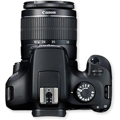 Cámara Canon EOS 3000D DSLR con lentes y accesorios miniatura 6