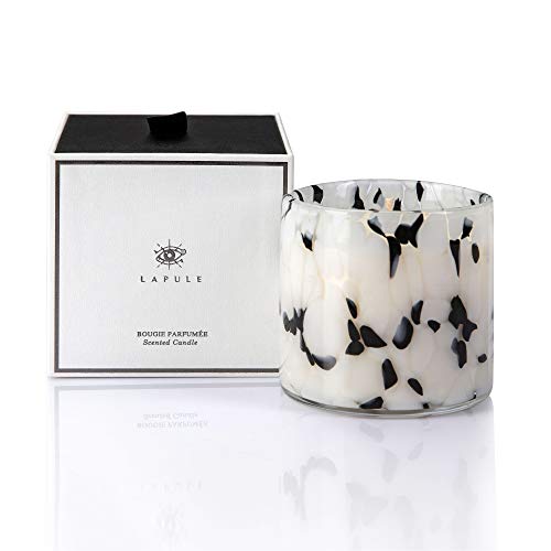 Lapule Luxury Home Scented Candle in Handblown Decorative Glass Jar | Long Burning Aromatherapy Soy Wax Candles with Natural Fragrance Essential Oils | for Women Gifts | Home and Bath Decor