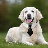 HACRAHO Hunde-Krawatte, 1 Packung Hunde-Smoking-Halsband mit schwarzer Krawatte, verstellbares Hundehalsband mit Schnellverschluss-Schnalle (L)