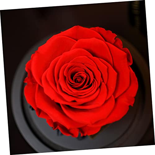 jojofuny Rosa artificial de vidro rosa nunca murchada rosa falsa presente flor cúpula flores present