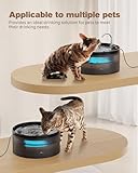 BEMOONY Katzenbrunnen, 3.2L Trinkbrunnen für Katze, Katzenbrunnen für Katzen leise Pumpe mit Led, Tiefenfilterung, Durchsichtiger Wassertank, Geeignet für Haushalte mit Mehreren Haustieren, Schwarz