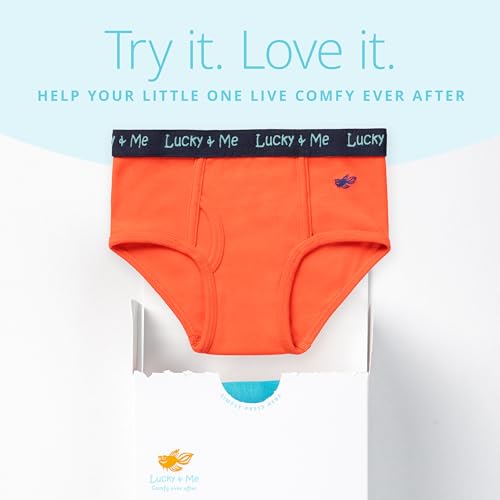 Lucky & Me | Lucas Boys Briefs | Organic Children's Cotton Underwear | Tagless | 6-Pack4