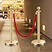 VEVOR Stanchions and Velvet Ropes 4Pcs, Hollow Base with Stainless Steel Post, 2 Red Velvet Ropes and Posts, Crowd Control Barriers Gold Stanchions, Red Carpet Runner Poles for Party Supplies