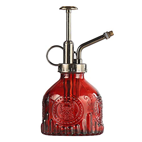 Jarra de cristal retro con pulverizador para plantas y flores, ideal para regar pequeñas plantas en casa u oficina