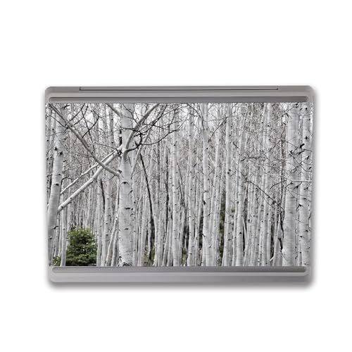 Image of MightySkins Carbon Fiber Skin Compatible with Microsoft Surface Laptop Go 3 (2023) Full Wrap Kit - Birch Forest | Protective, Durable Textured Carbon Fiber Finish | Made in The USA