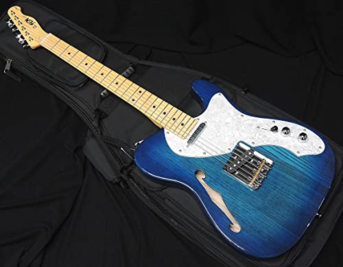 フジゲン FGN SNTL102-WB テレキャスタータイプ MOD 楽天市場