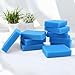 12PCS Filter Sponges Replacement Compatible with Tineco IFloor HF10E-01, Complete Cordless Wet Dry Vacuum Cleaner Spare Parts Accessories (Blue)