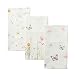 Maison d' Hermine Botanical Fresh 100% Cotton Set of 3 Kitchen Towels 20 Inch by 27.50 Inch