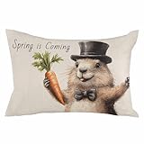 Fundas De Almohada Feliz Día De La Marmota Fiesta De Primavera Pastoral Zanahoria Cushion Covers Suave Fundas Cojines Regalo Pillowcase para Hogar Sillón L