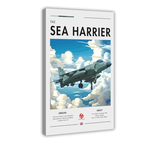 Poster sur toile Strike Fighter Aircraft idéal pour habiller un grand mur