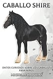 caballo shire argentina  Caballo Shire: Datos curiosos sobre los caballos para niños #8