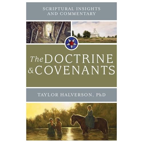 Scriptural Insights and Commentary Audiolibro Por Taylor Halverson arte de portada