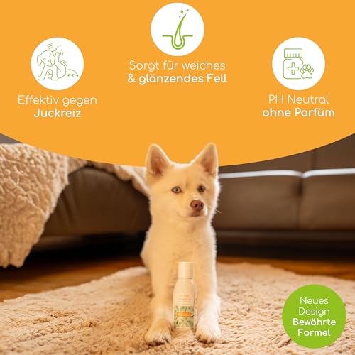 Welpen Shampoo Sensitiv für Hunde – pH-neutral, ohne Parfüm, für Langhaar und Kurzhaar, 100% pflanzliche Wirkstoffe - Bei Schuppen, Juckreiz und Milben, 100ml