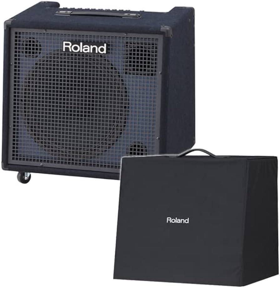 Roland　キーボードアンプ CUBE60 Roland - CUBE-60 | Guitar Amplifier