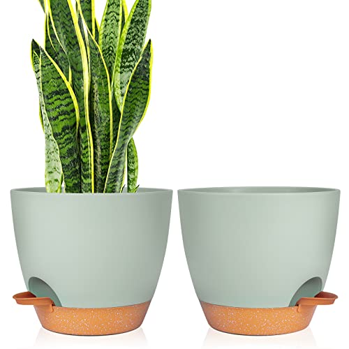 Plant Pots Set of 2 Pack 6.5 inch,Planters for Indoor Plants with Drainage Holes, GARDIFE Modern Decorative Flower Pots for All House Plants, Flowers, Green