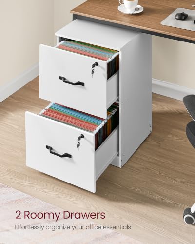 Image of VASAGLE 2 Drawer File Cabinet with Locks, for A4, Letter Sized Documents