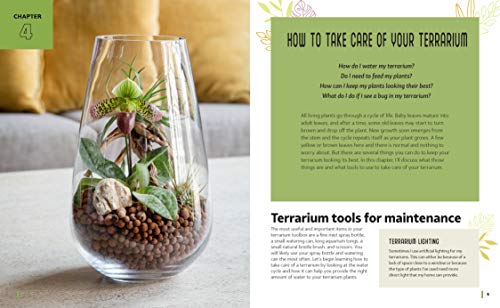 A Family Guide to Terrariums for Kids: Imagination-Inspiring Projects to Grow a World in Glass - Bui