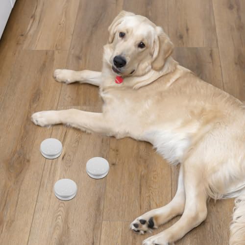 Angoily 10St Dufttrainingsbox für Hunde Dufttrainingsgerät Hund Die Kaninchenspielzeug Haustier Dufttrainingsboxen Hundetrainingsset Gewinde Trainingsgeräte Nasenpads Arbeitshund Container