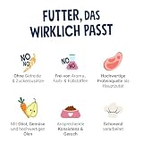 Pets Deli Mini Trockenfutter für Hunde mit Huhn & Kürbis, 2kg