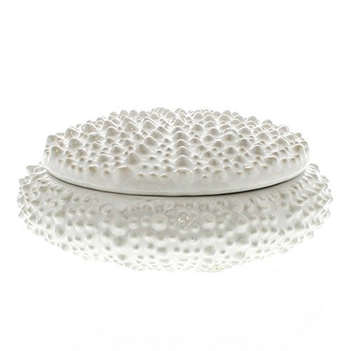 MY SWANKY HOME Urchin Ceramic Box - Sm - Sold in Case Pack of 2