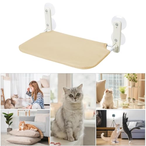 Siège de bain de soleil d'intérieur pour chat de salon - 6