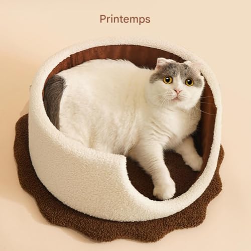 Cachette chaude pour chiot et chat pour dormir à la maison