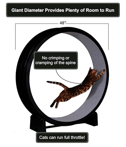 Image of One Fast Cat - Cat Exercise Wheel - Gen. 7 - Safe 48 inch Diameter - Made in The USA - Black Wheel with Gray Felt Traction Pads and Light-Up LED Inline Wheels