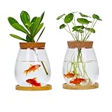 Desktop Plants Terrarium Propagation Station Hydroponic Planters Retro Oval Glass Vase with Lid and Stand Home Office Decoration Gifts 2 Pack
