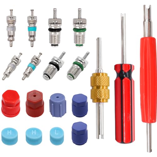 Image of Taiss 59PCS Air Conditioning Valve Core Accessories Kit R12 R134a Refrigeration Tire Valve Stem Cores with Valve Core Rmover Tool HVAC AC System Seal Caps Kit F-092
