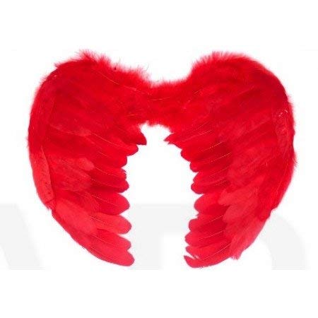 Partysanthe Angel Feather Wings Red Color Cosplay Halloween Fancy Dress Costume Event for Kids red Wings 1pc (B07X9VL1HF) Amazon Price History, Amazon Price Tracker