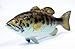 LX Hand Painted Bass Statue Game Fish Replica 6
