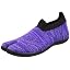 Zebra Purple