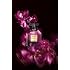 Victoria's Secret Bombshell Oud Eau de Parfum, Notes of Spice, Pink Saffron & Peony, Perfumes for Women (1.7 oz)