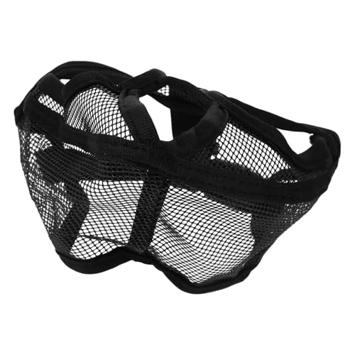 healvian @lp ߉\ ʋCbV p }XN ݖh~ ^p Ky ̙h~g[jO ⏕pi